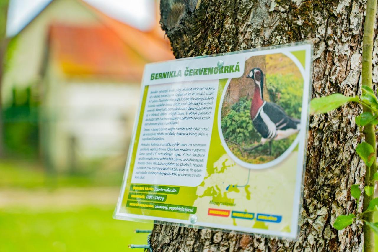 Farma Zelena Ruza Villa Klacno Buitenkant foto