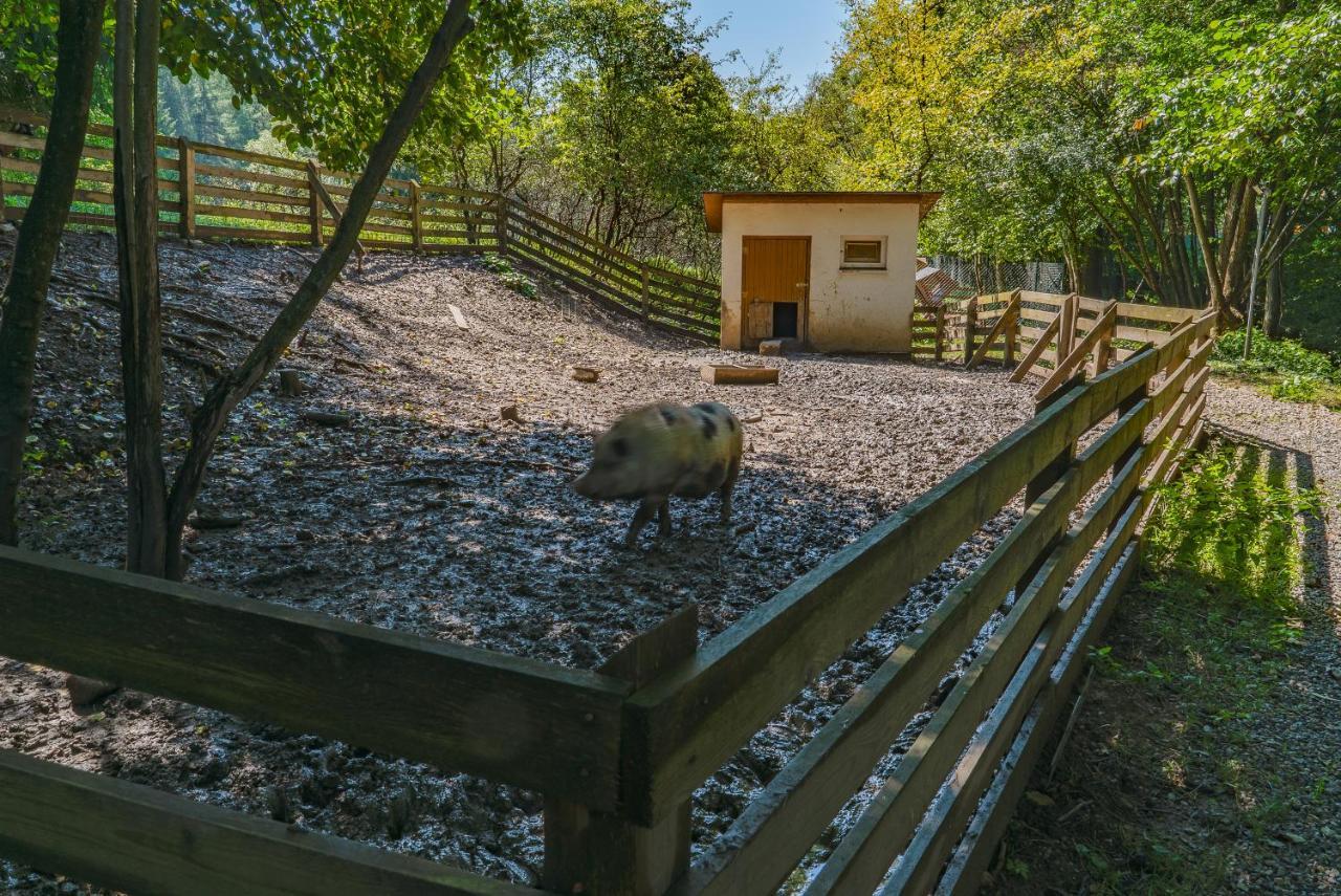 Farma Zelena Ruza Villa Klacno Buitenkant foto