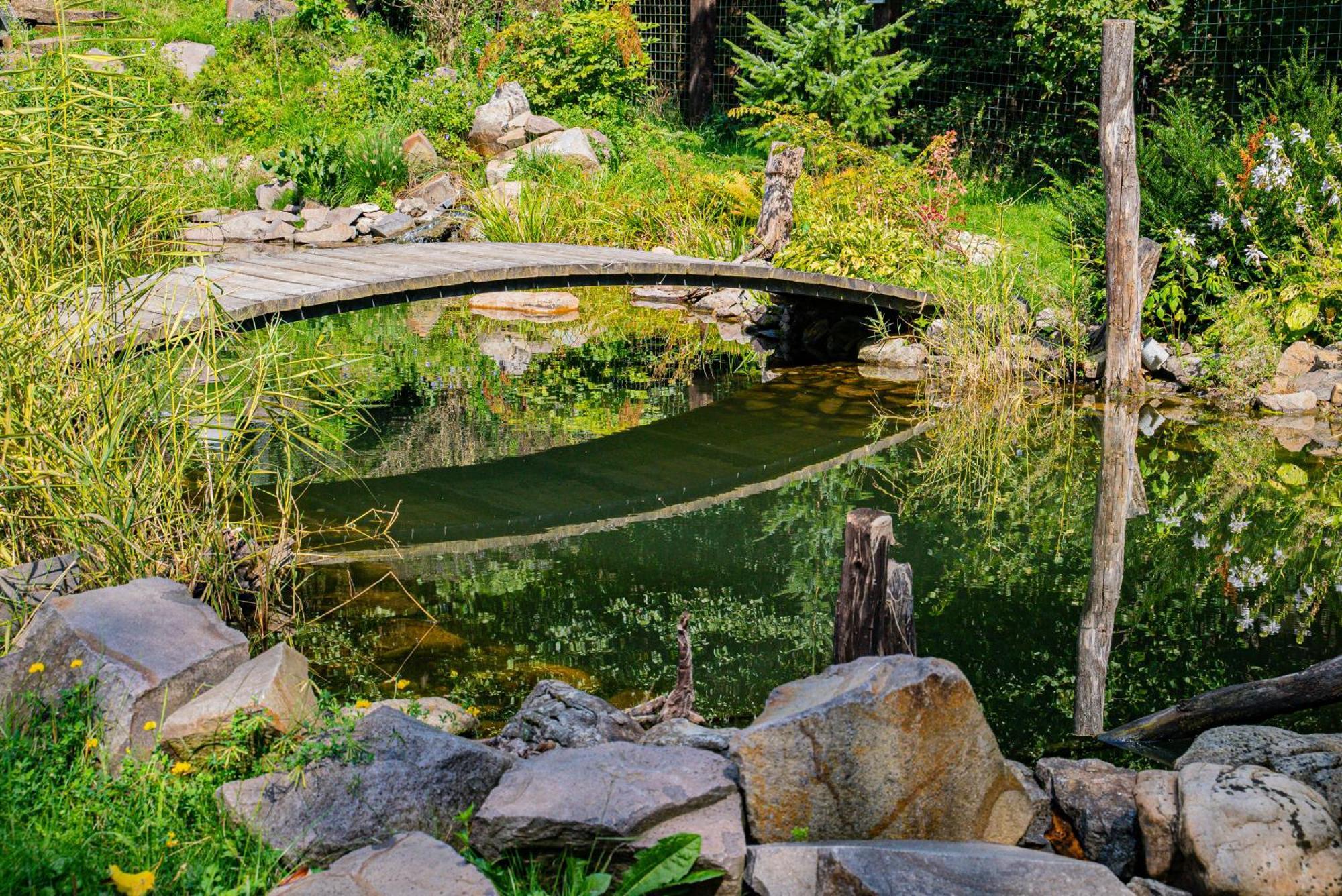 Farma Zelena Ruza Villa Klacno Buitenkant foto